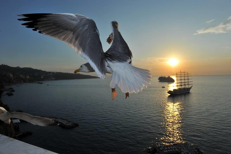 Sorrento Coast Relais Hotel Meta Bagian luar foto
